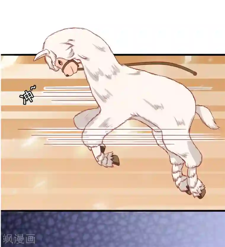 江少要不要嫁过来第50话 缘分