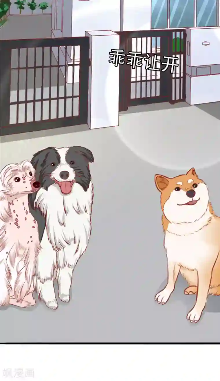 江少要不要嫁过来第50话 缘分