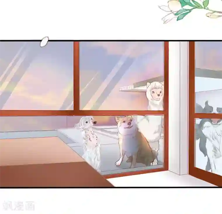 江少要不要嫁过来第54话 江浔反击