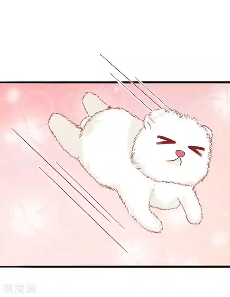 江少要不要嫁过来第55话 下厨