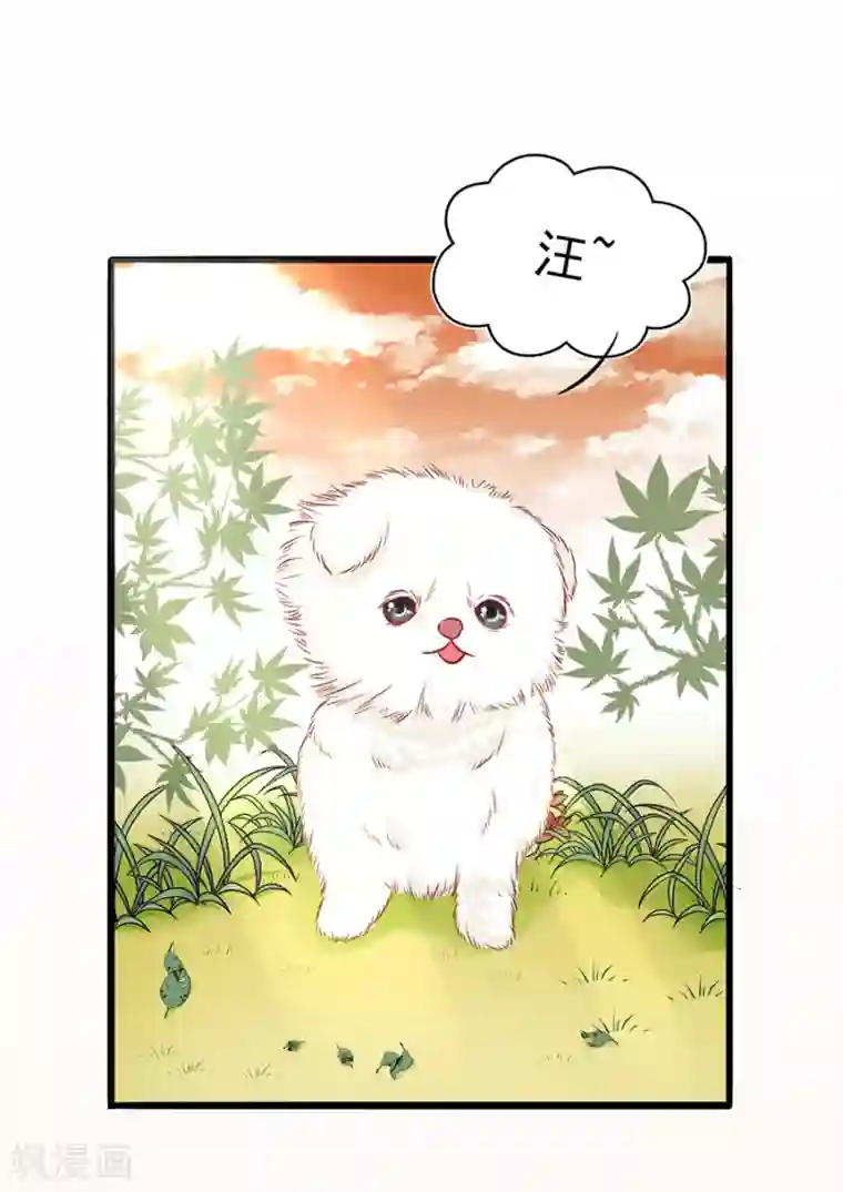 江少要不要嫁过来第55话 下厨