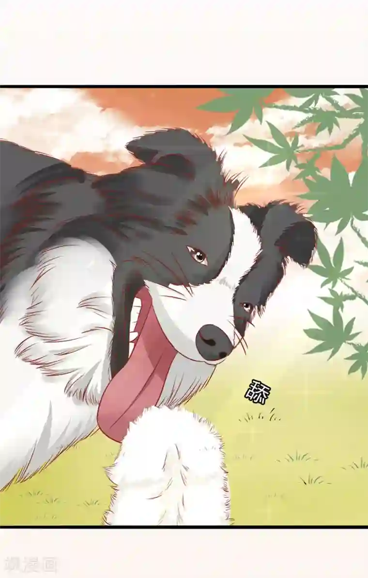 江少要不要嫁过来第55话 下厨