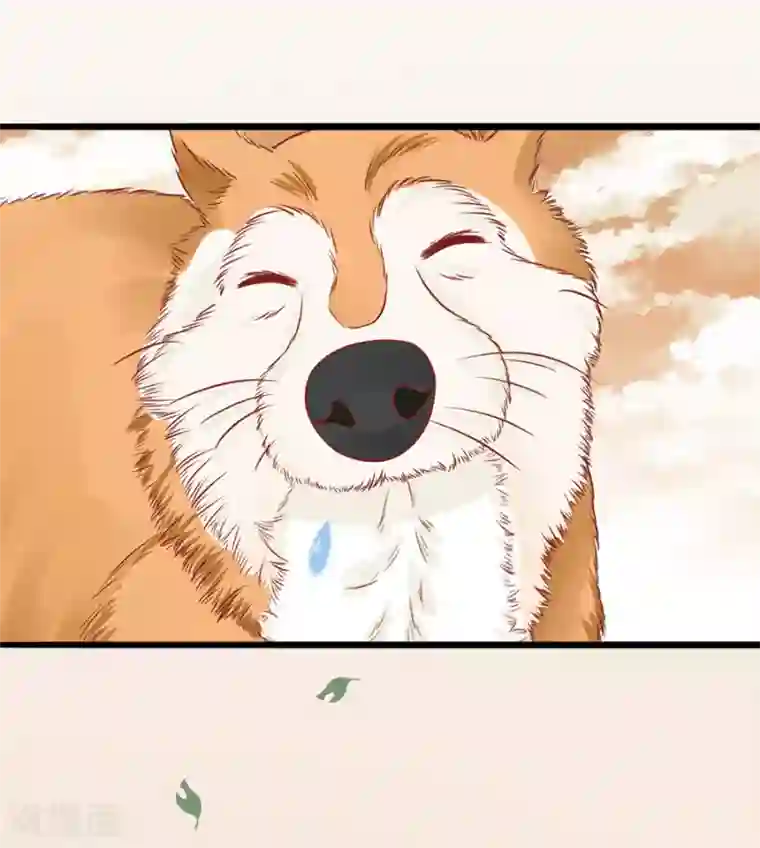 江少要不要嫁过来第55话 下厨