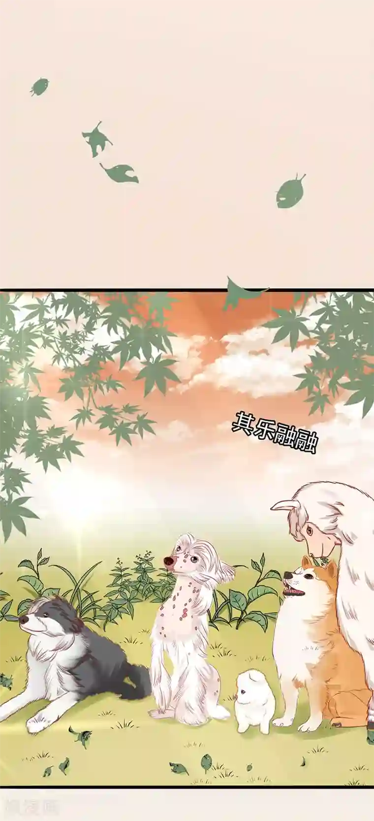 江少要不要嫁过来第55话 下厨