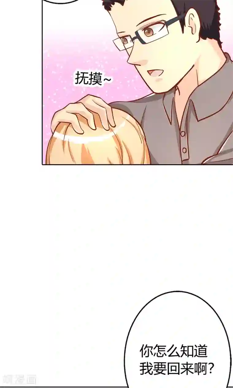 守护甜心第3话 事业和爱情，我选择事业！