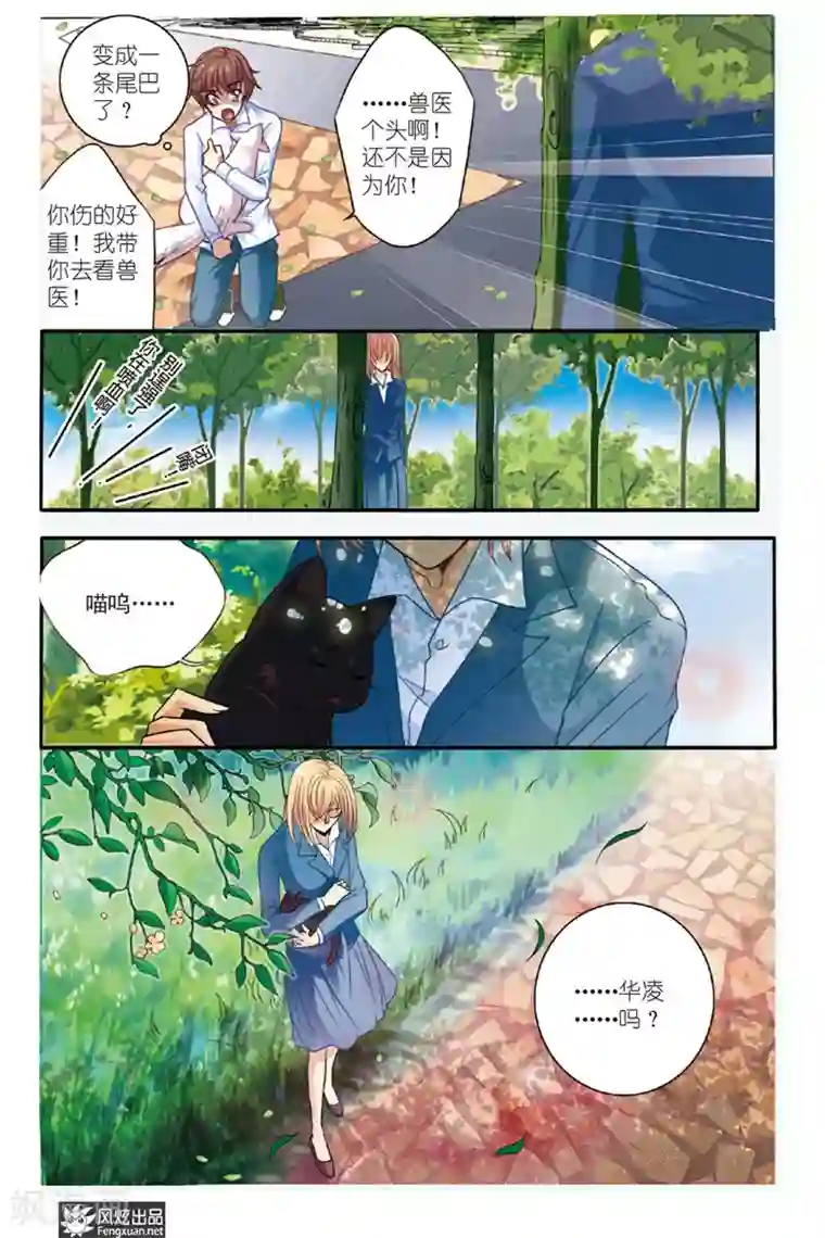 山海食经第2话 饕餮猫