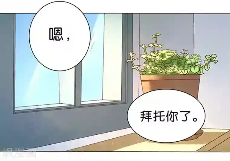 楚医生也要谈恋爱第14话