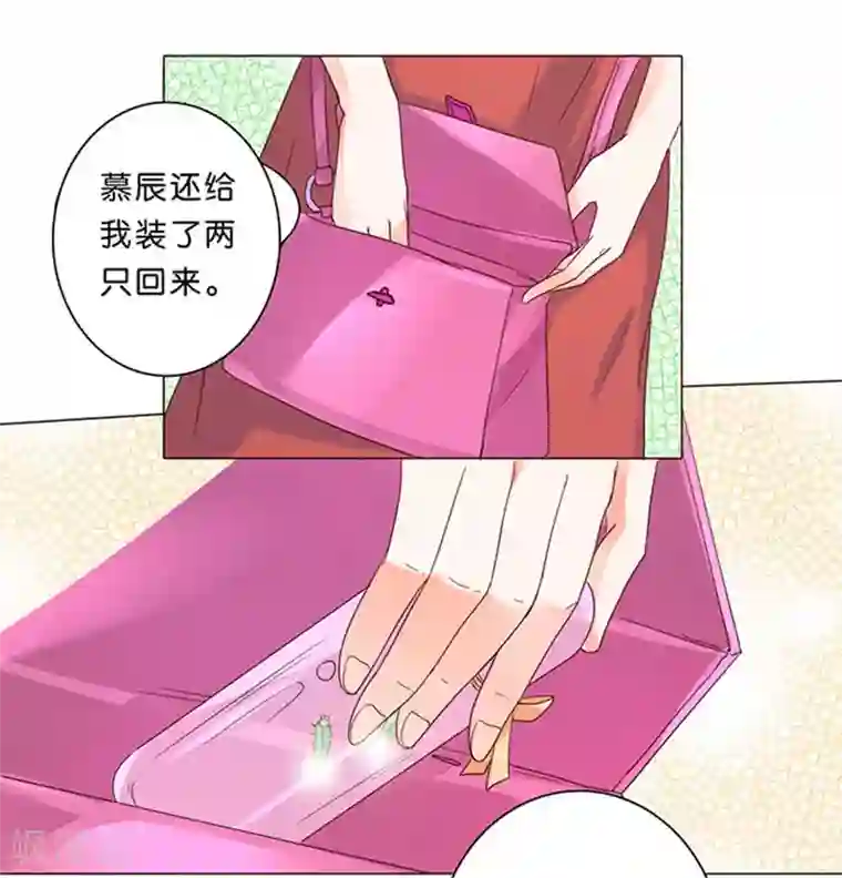 楚医生也要谈恋爱第17话