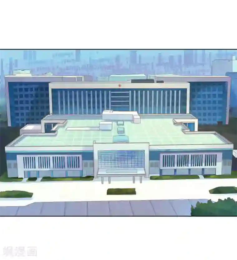 楚医生也要谈恋爱第149话