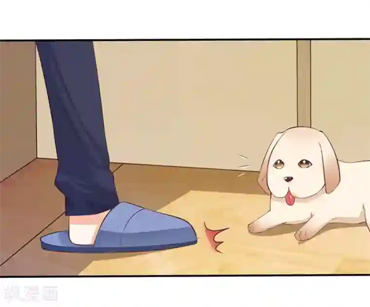 楚医生也要谈恋爱第160话