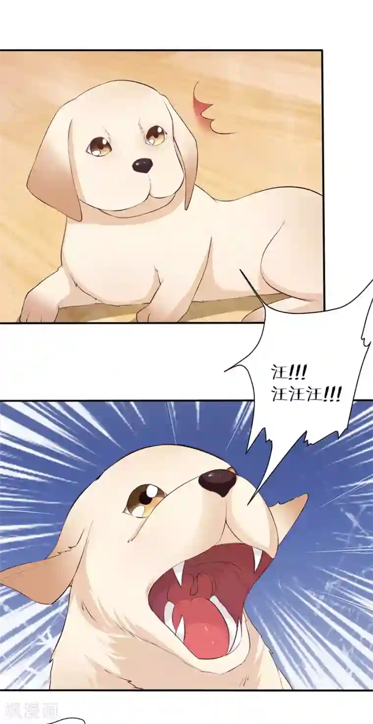 楚医生也要谈恋爱第160话