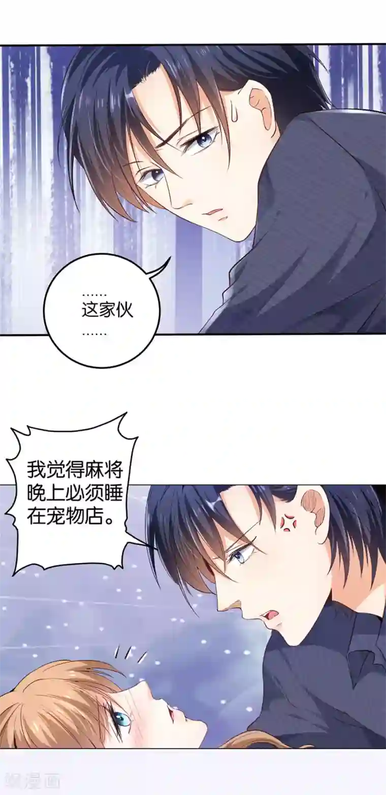 楚医生也要谈恋爱第160话