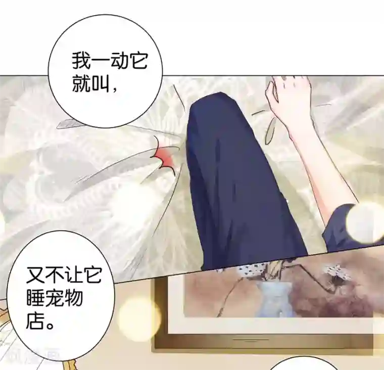 楚医生也要谈恋爱第160话