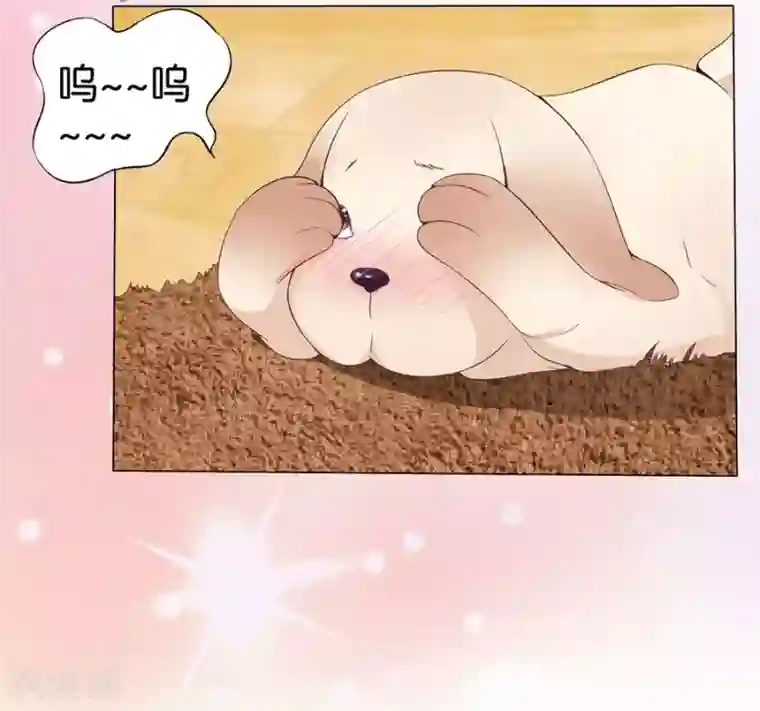 楚医生也要谈恋爱第161话