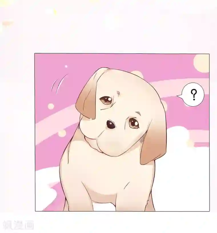 楚医生也要谈恋爱第161话