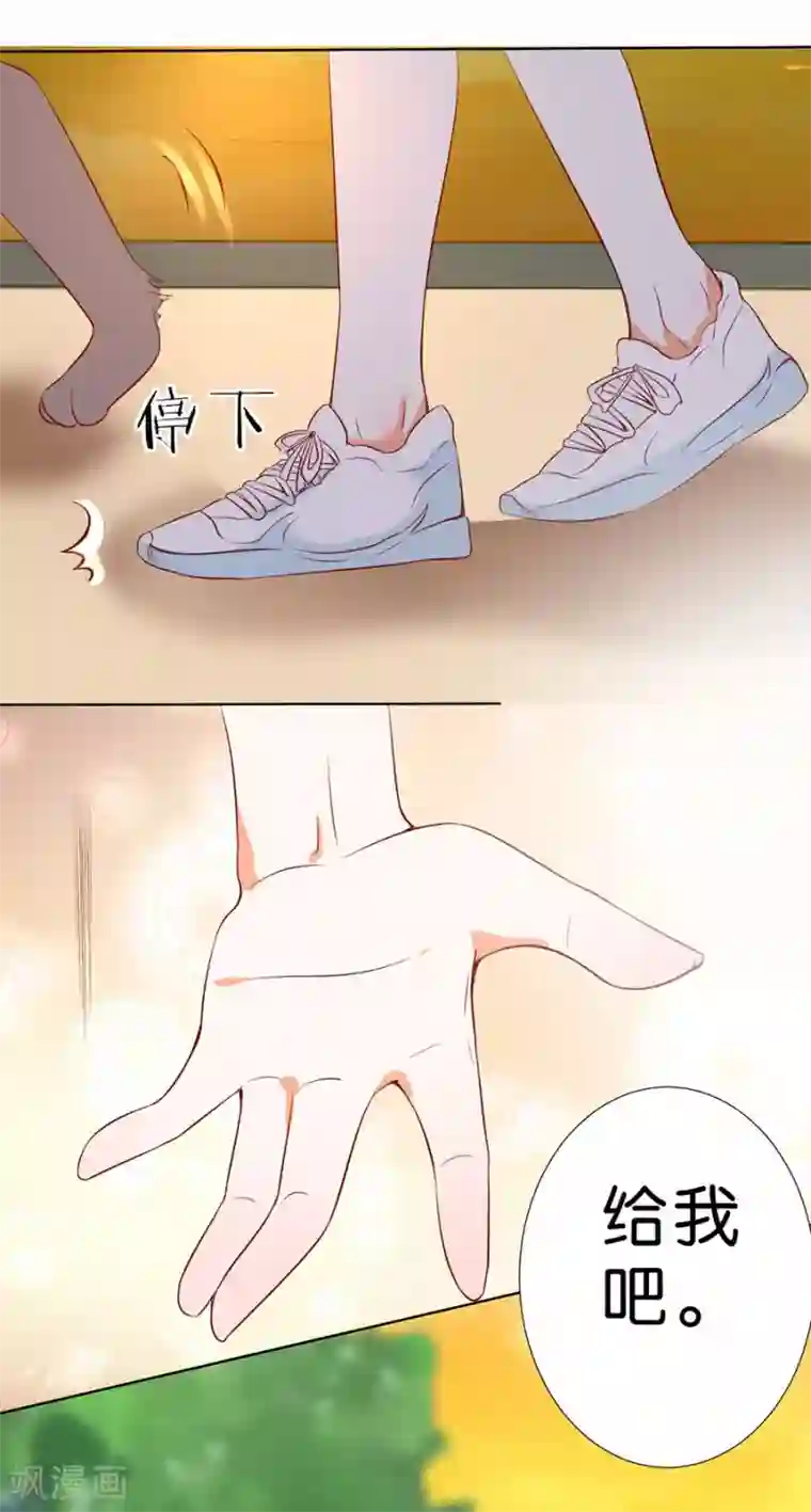 楚医生也要谈恋爱第186话