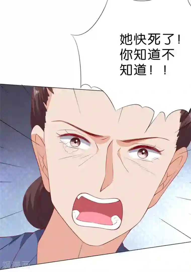 楚医生也要谈恋爱第230话