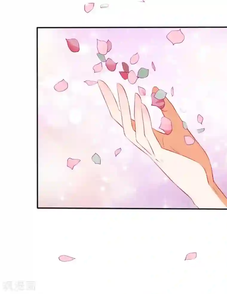 楚医生也要谈恋爱第254话