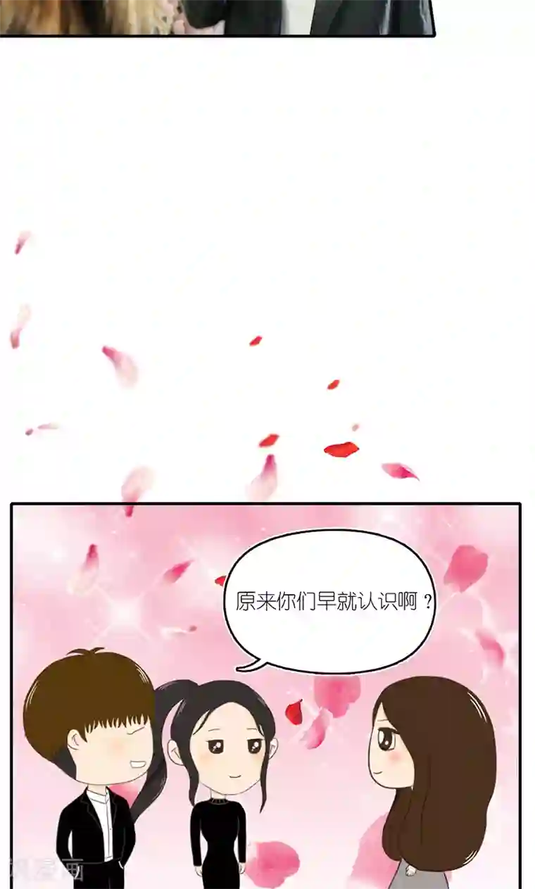 强势宠爱第10话 宴会