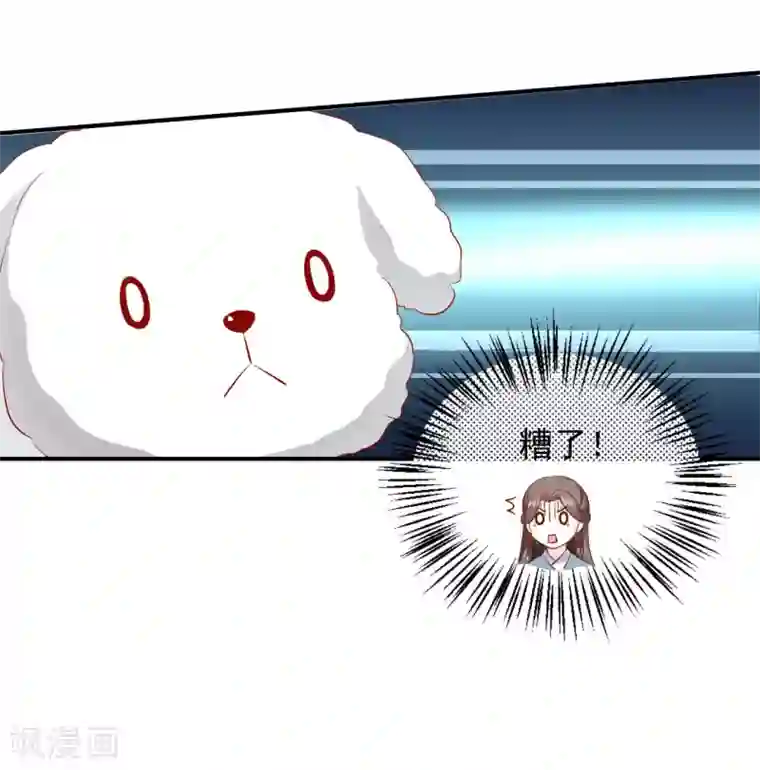 从此王爷不早朝第114话 萌犬落难被人欺