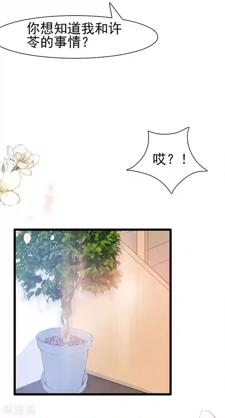 周先生，绑嫁犯法第69话