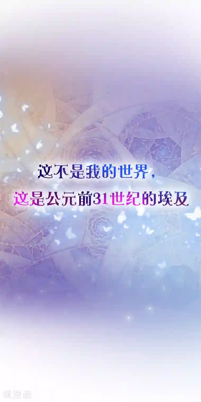 王的第一宠后预告