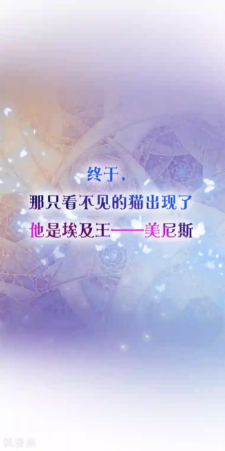 王的第一宠后预告