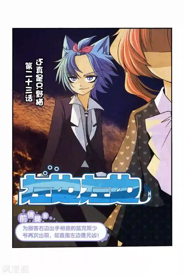 左边左边第23话 还真只野猫