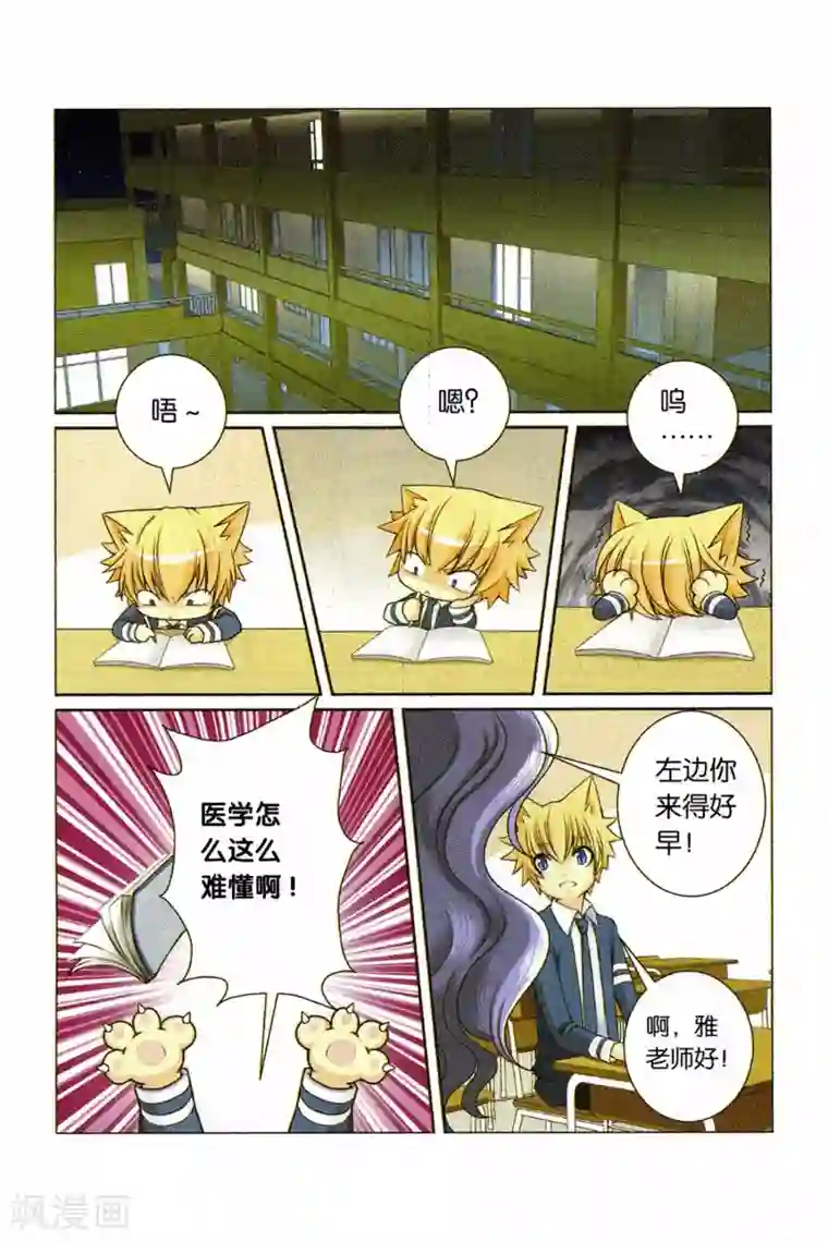 左边左边第29话 各自的决心