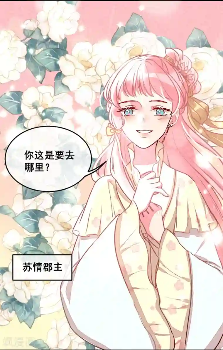 爆笑小萌妃第4话 天下第一的美男子1