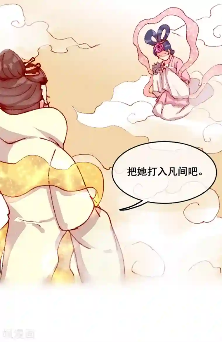 爆笑小萌妃番外 小黑猪