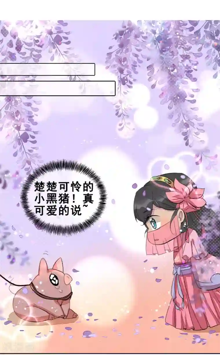 爆笑小萌妃番外 小黑猪