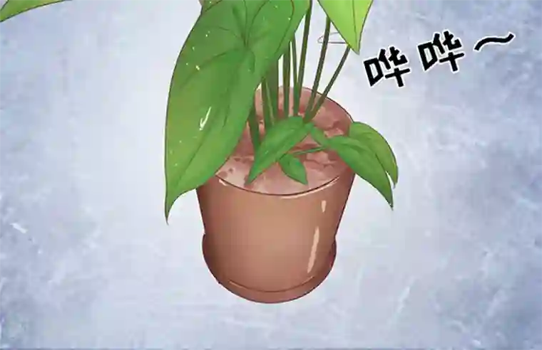 烈爱知夏第54话 去给我倒杯水2