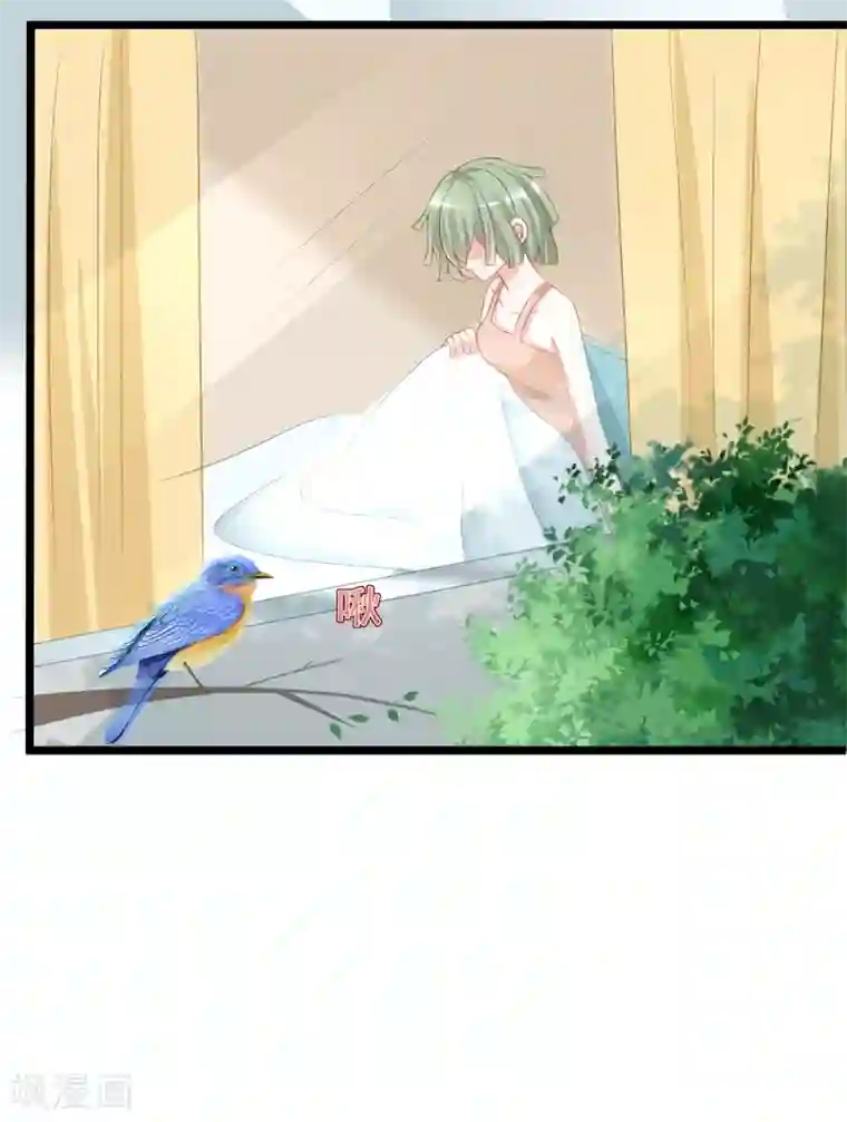 渣男总裁别想逃第185话 你不该触碰我的底线！