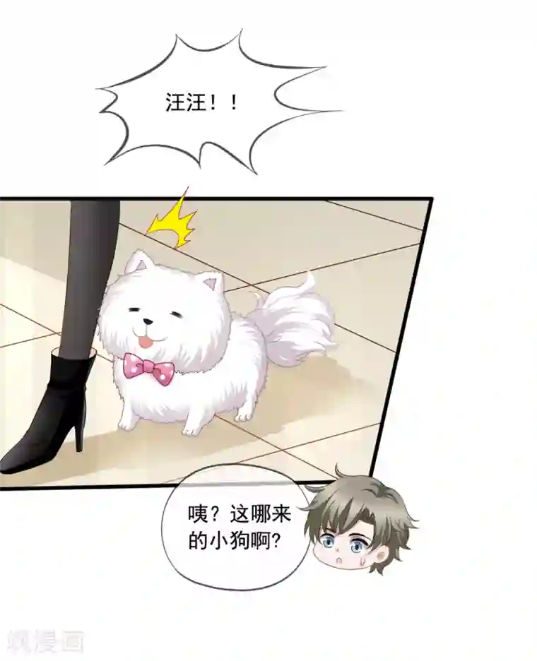 美味佳妻第77话 弟弟杨辰