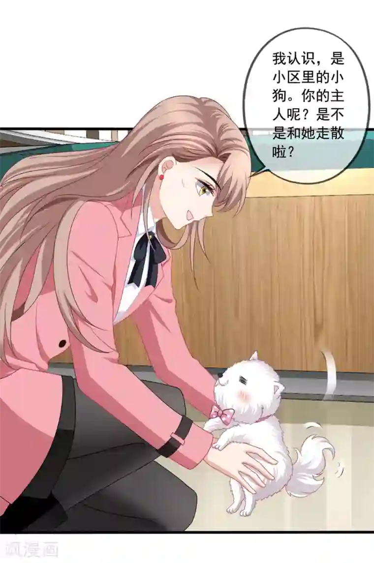 美味佳妻第77话 弟弟杨辰