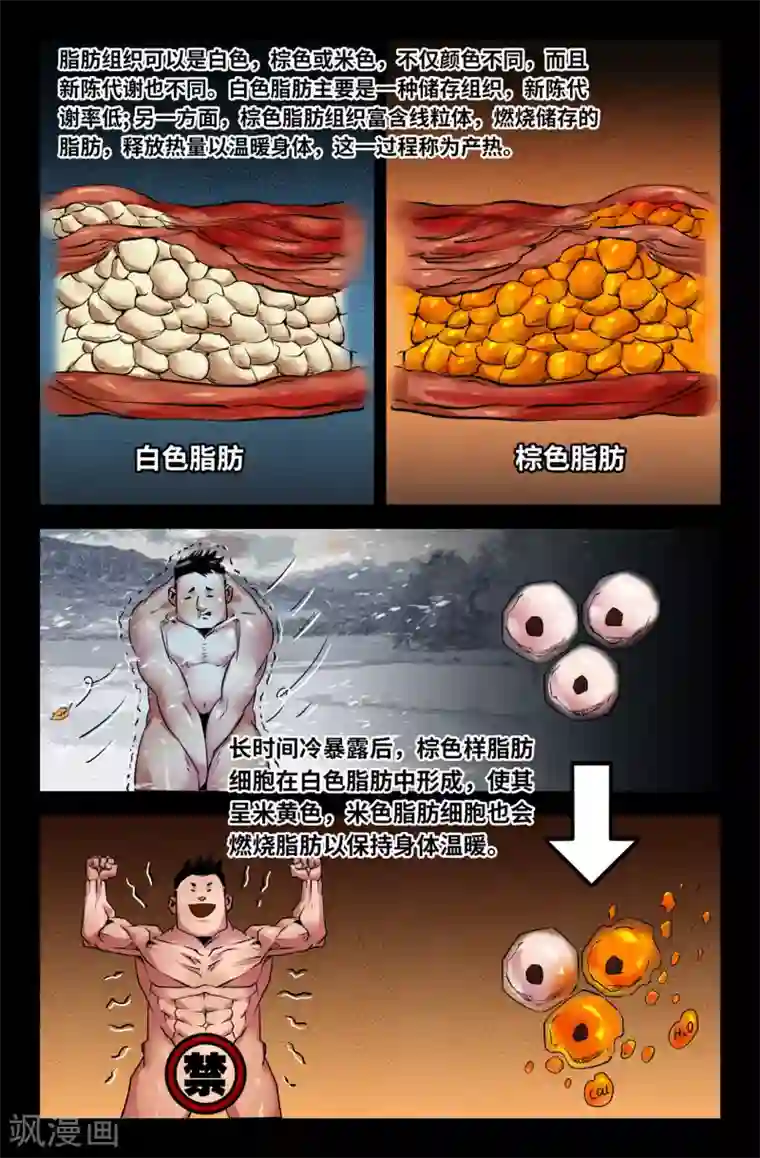 史上最强第125话 Oct3抑制剂