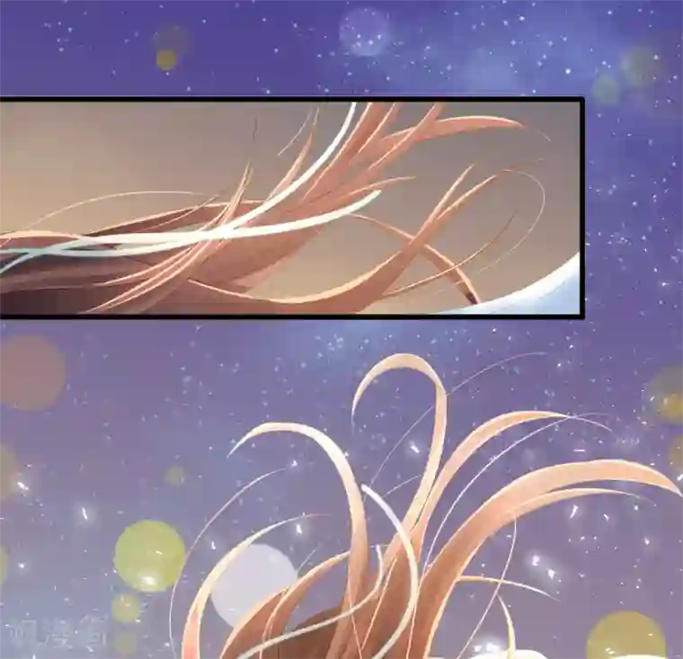 我的王爷三岁半第64话 降落在我的生命中