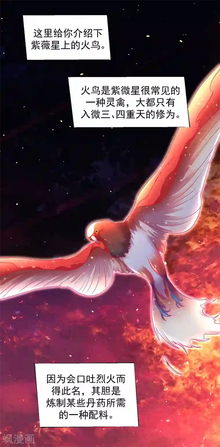 道印第29话 捡到了个小东西