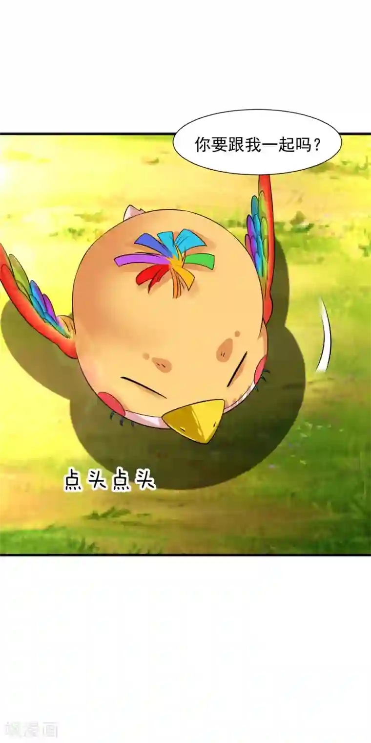 道印第29话 捡到了个小东西