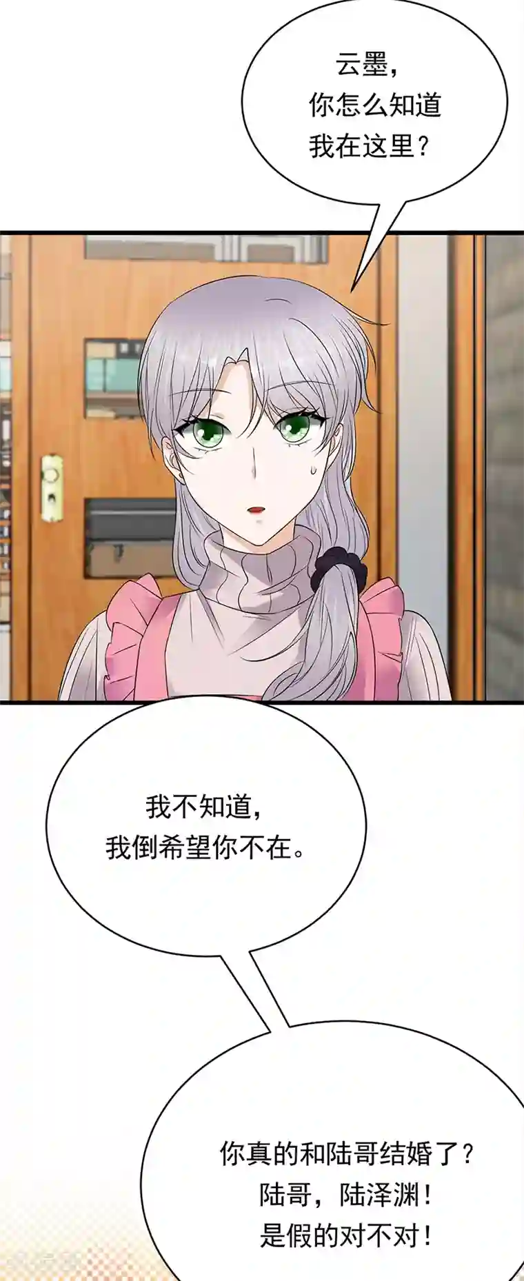 陆少的心尖宠第49话 是命运还是执念