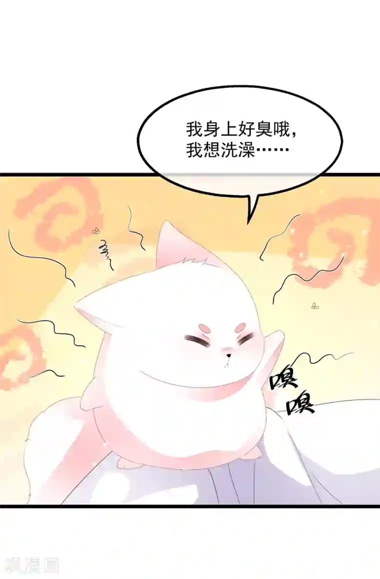 狐妃,别惹我第38话 我来守护你