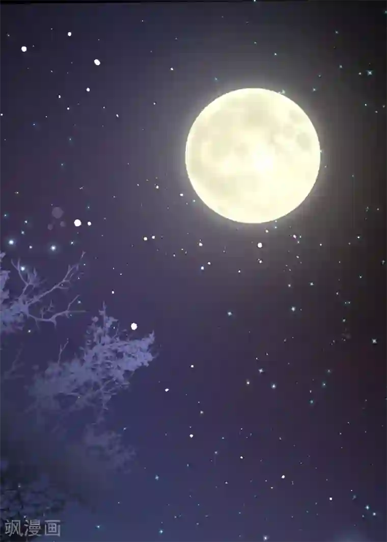 狐妃,别惹我第38话 我来守护你