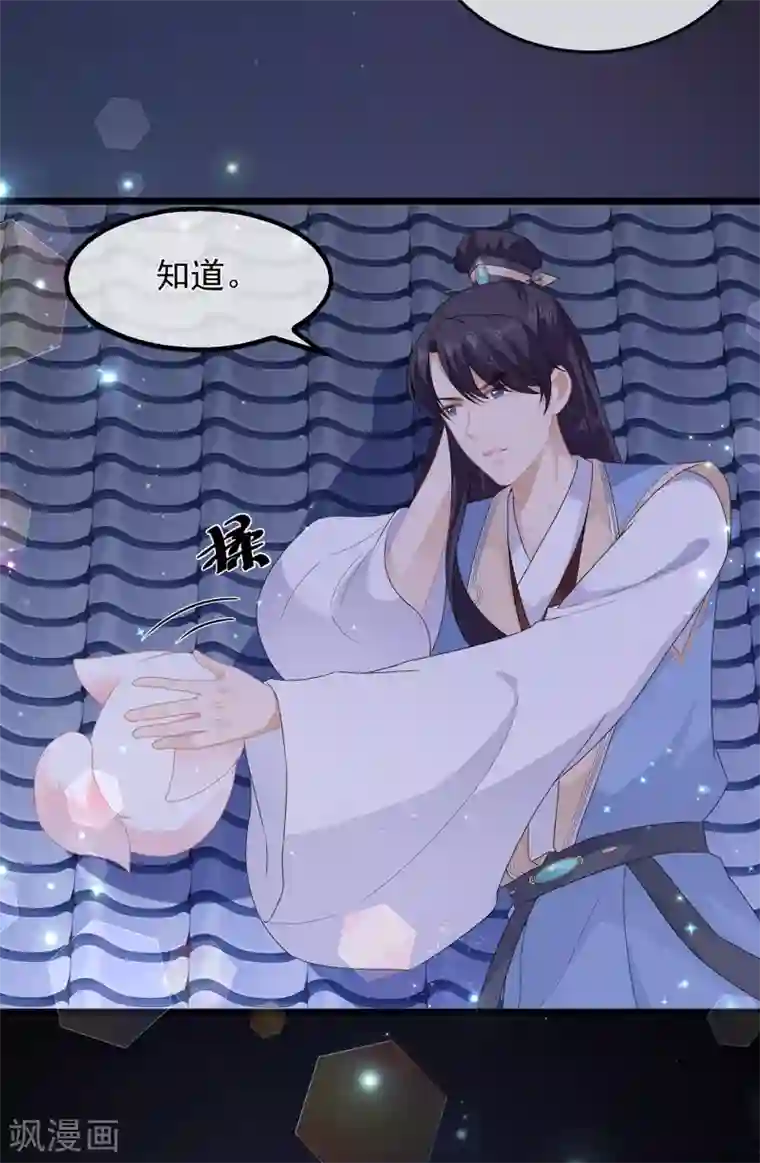 狐妃,别惹我第38话 我来守护你