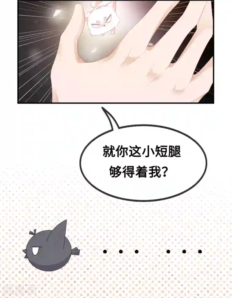 狐妃,别惹我第38话 我来守护你