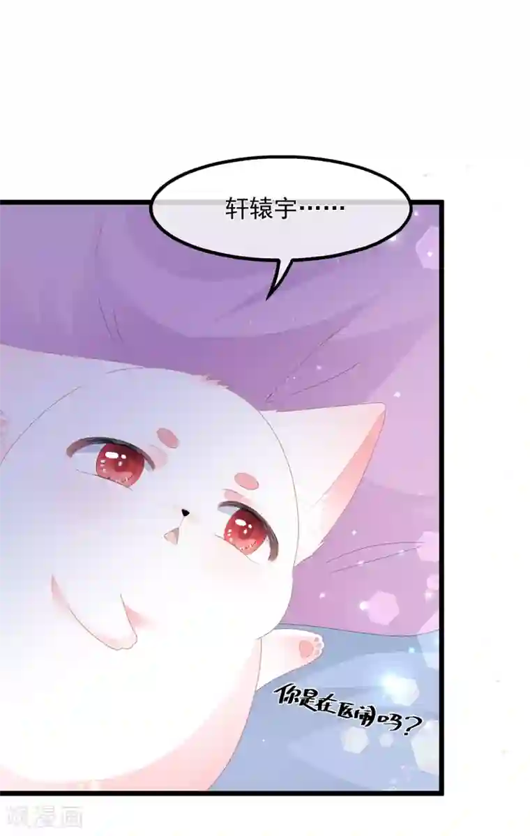 狐妃,别惹我第38话 我来守护你