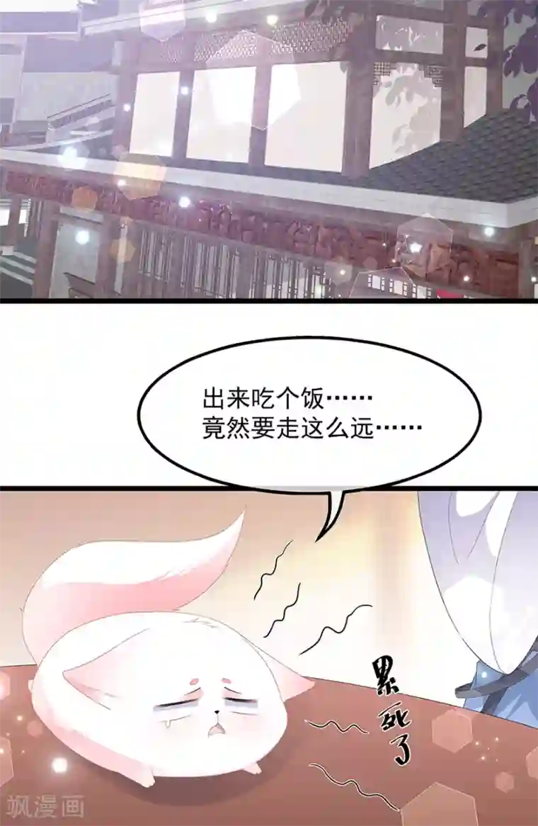 狐妃,别惹我第41话 异世秘密