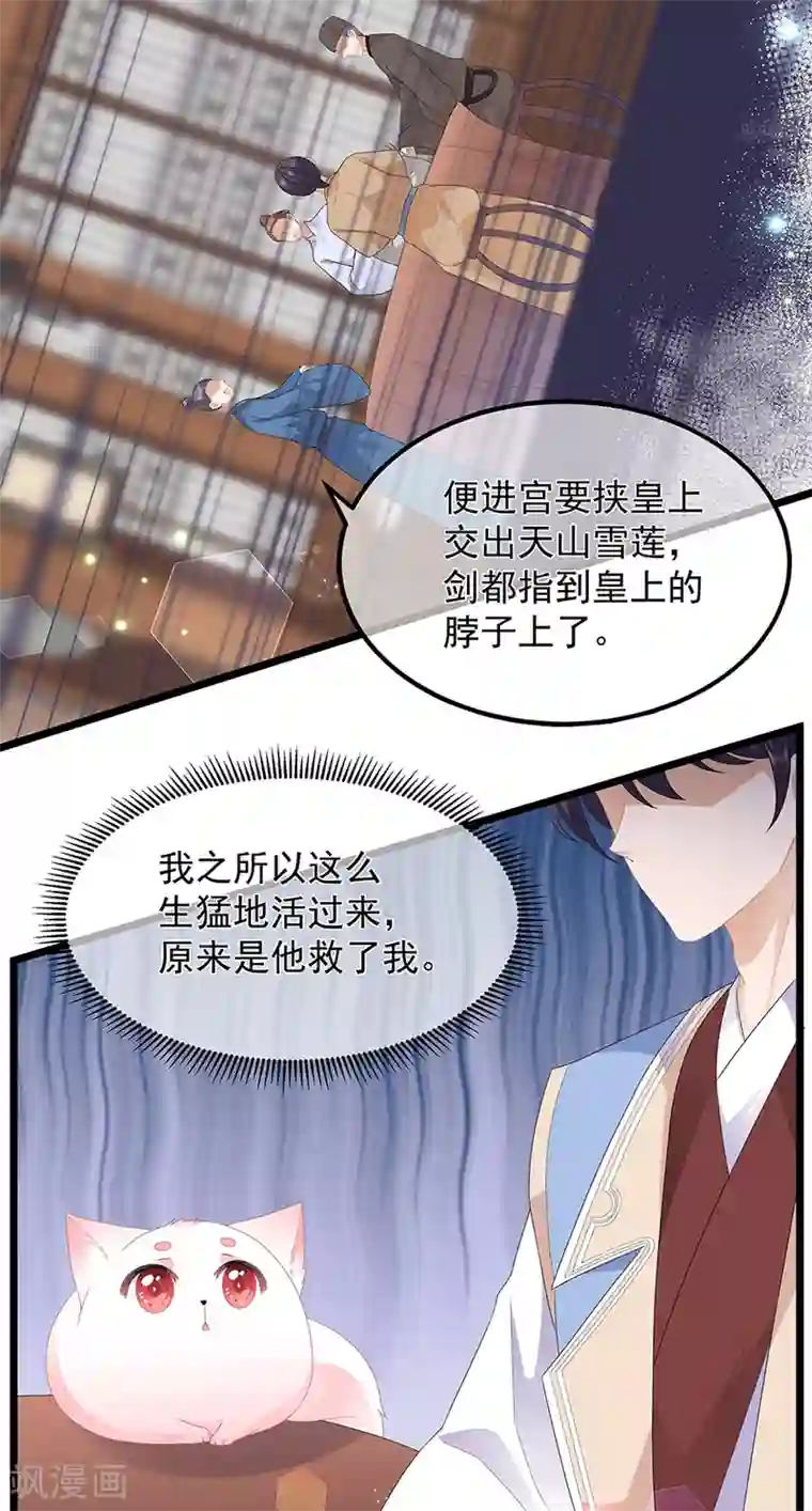 狐妃,别惹我第41话 异世秘密