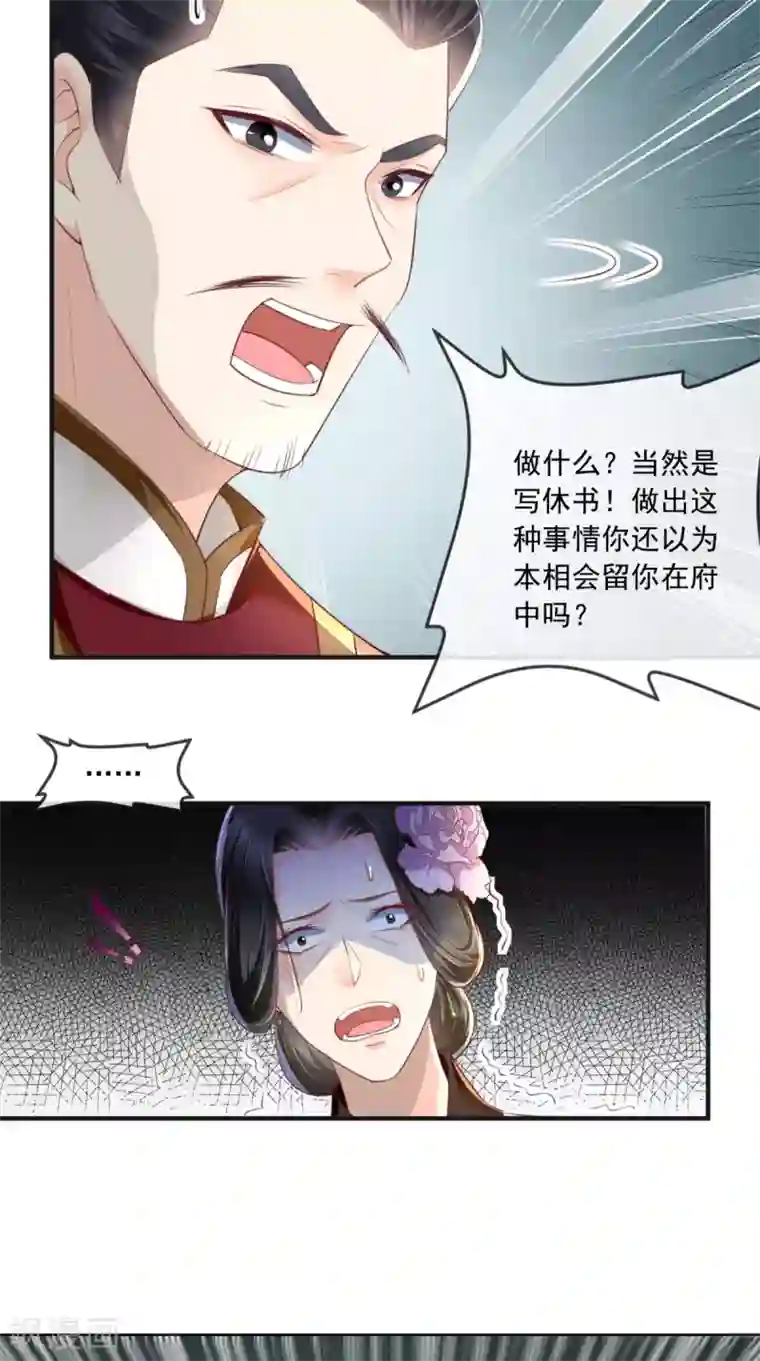 痴傻毒妃不好惹第55话 休书