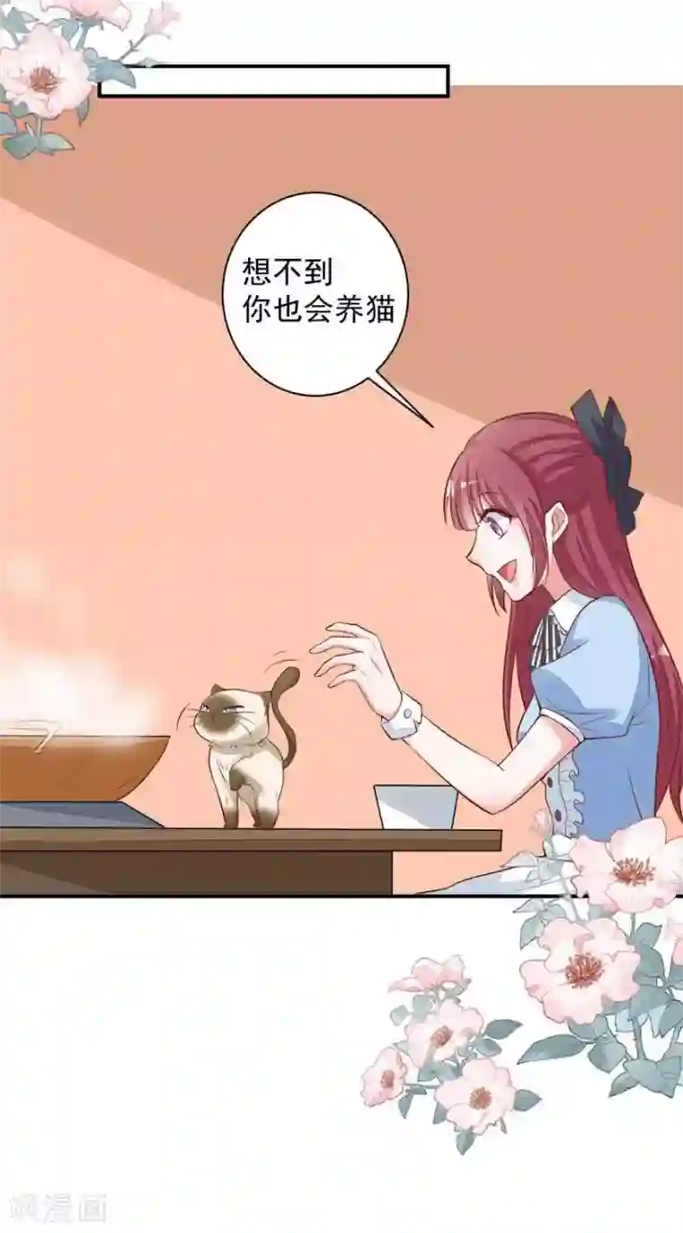 盛世华宠：我被俘虏了第17话 吃火锅